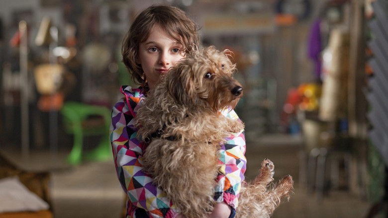 Шансы большие и маленькие