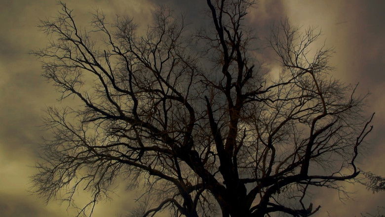 кадр из фильма ฝัน ของ แมงกะพรุน