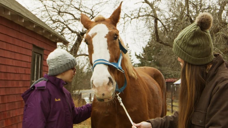 кадр из фильма December Horses