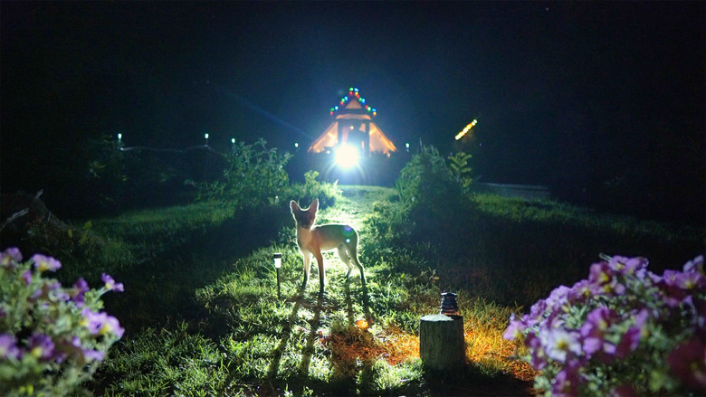 кадр из фильма Jóreménység-sziget