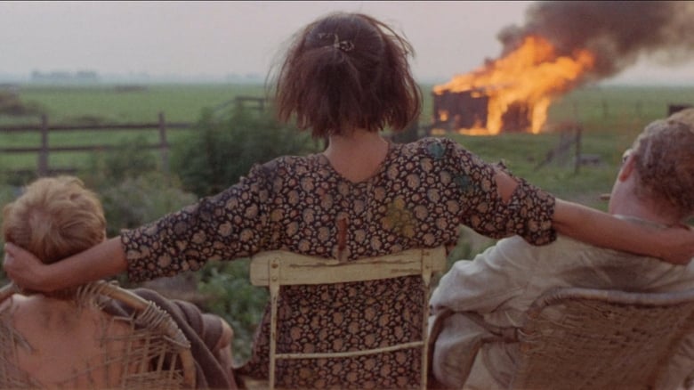 кадр из фильма Мои ночи с Сьюзен, Ольгой, Альбертом, Джули, Пит и Сандрой