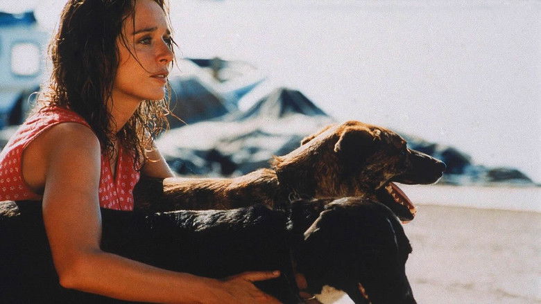 кадр из фильма Дыхание