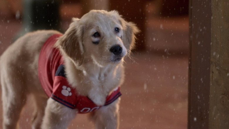 кадр из фильма Рождественская пятерка