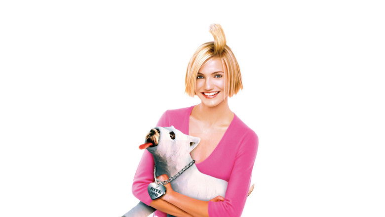 кадр из фильма Все без ума от Мэри