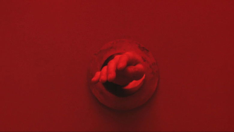 кадр из фильма 9 душ