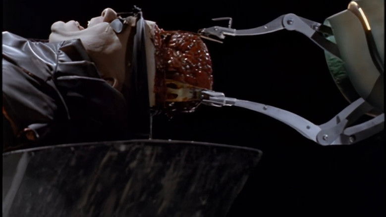 кадр из фильма I Worship His Shadow