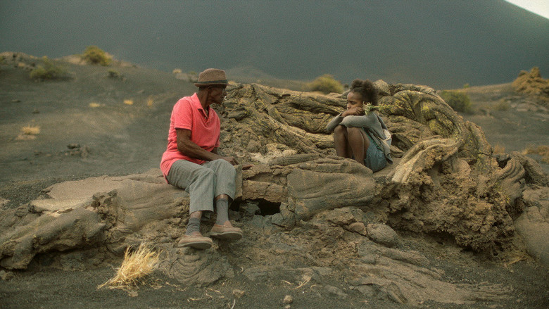 кадр из фильма Hanami