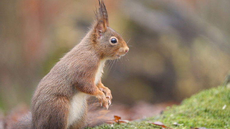 кадр из фильма Geruisloos