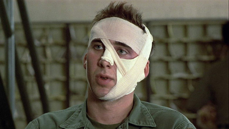 кадр из фильма Птаха