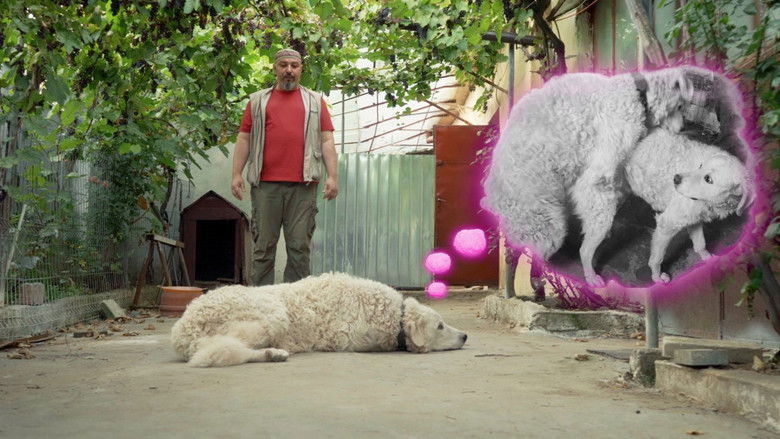 кадр из фильма Ki kutyája vagyok én?