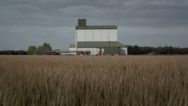 кадр из фильма Время волков