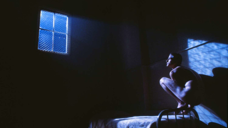 кадр из фильма Птаха