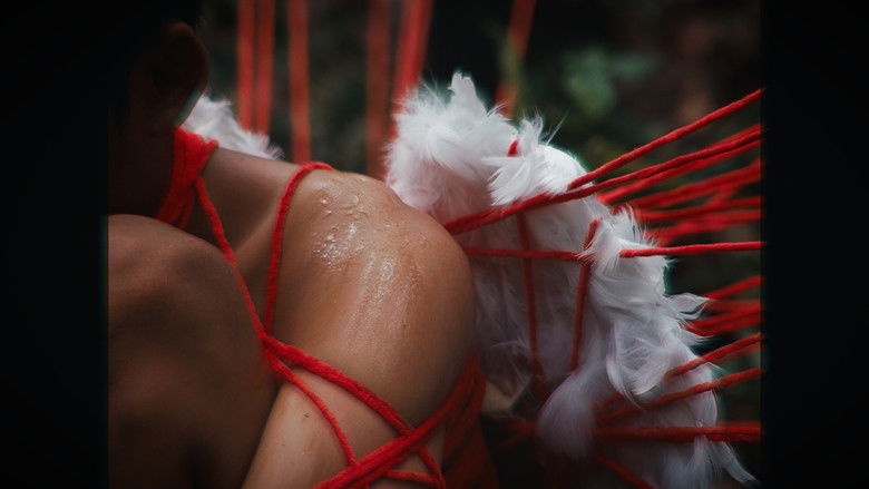 кадр из фильма Paradise