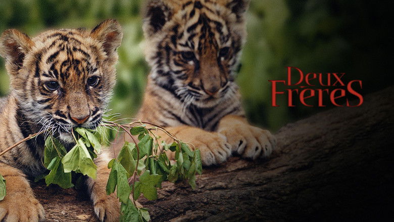 кадр из фильма Два брата