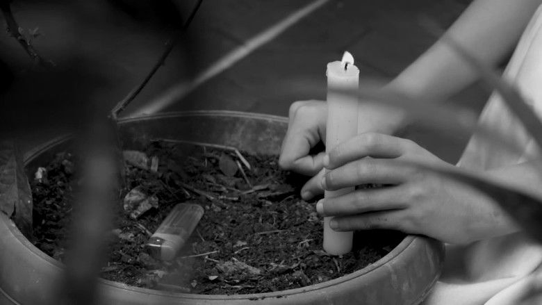 кадр из фильма Los peces sí tienen memoria