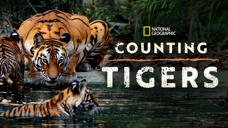 кадр из фильма Counting Tigers