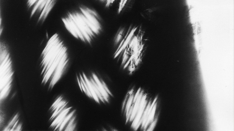 кадр из фильма 浸透画