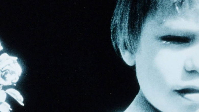 кадр из фильма Maternal Filigree