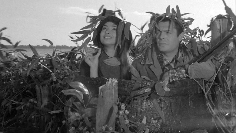 кадр из фильма Tutti Innamorati