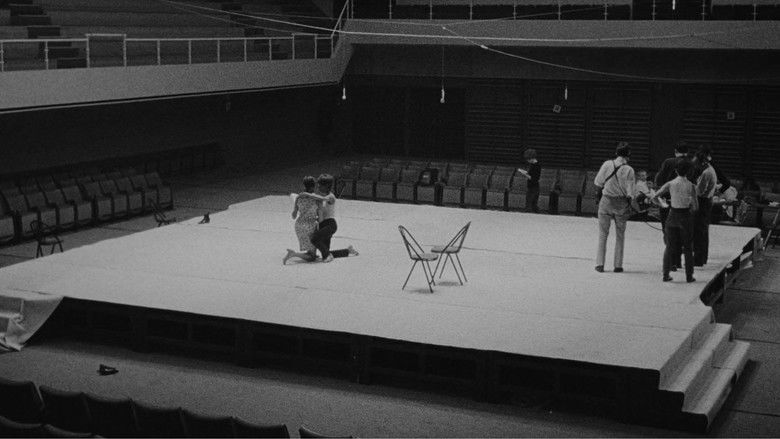 кадр из фильма L'Amour fou