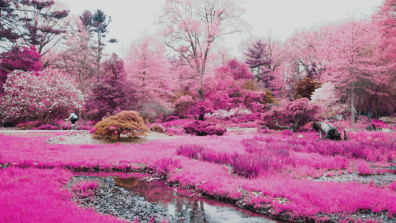 кадр из фильма Out of Body, Out of Mind