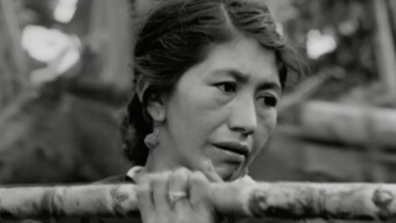 кадр из фильма Evil Wind Out