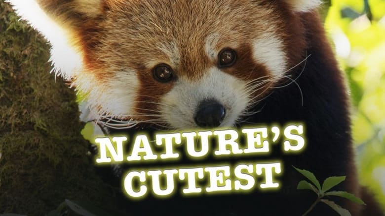 кадр из фильма Nature's Cutest