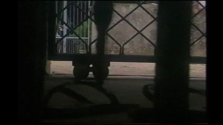 кадр из фильма နှင်းစက်