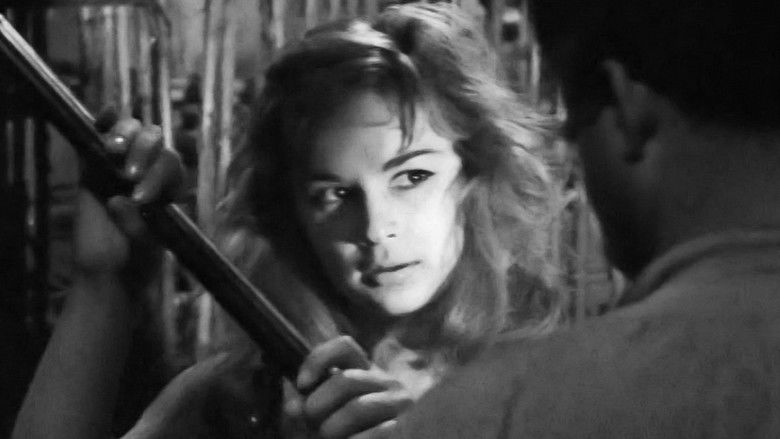 кадр из фильма Έρωτας Στους Αμμόλοφους