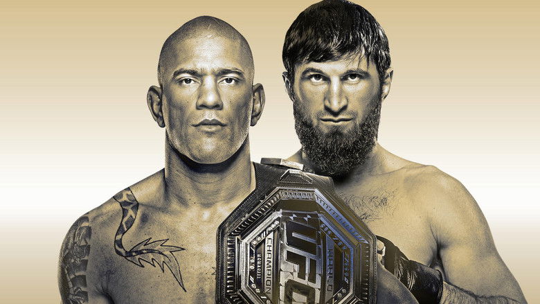 кадр из фильма UFC 313: Перейра vs. Анкалаев