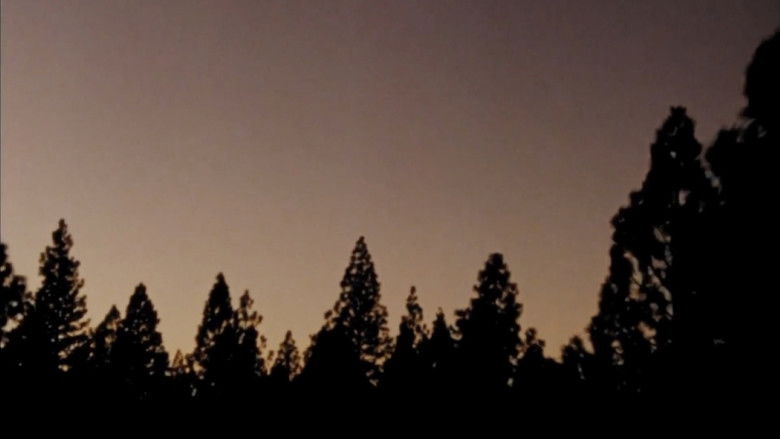 кадр из фильма Rasendes Grün mit Pferden