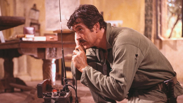 кадр из фильма Гнездо шершней