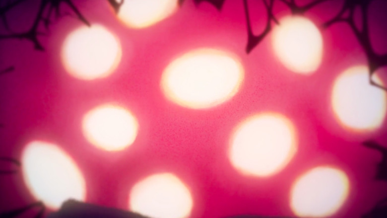 кадр из фильма 僕たちは違うんだ