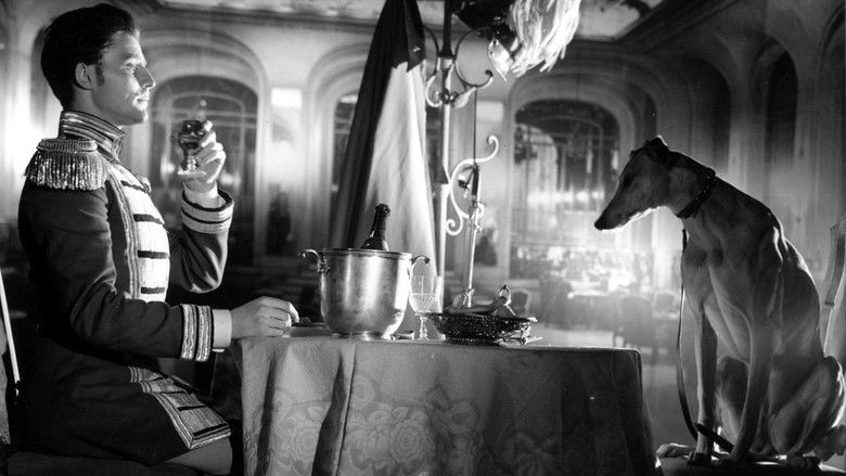 кадр из фильма Карусель