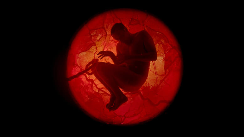 кадр из фильма A Whole Lifetime with Jamie Demetriou