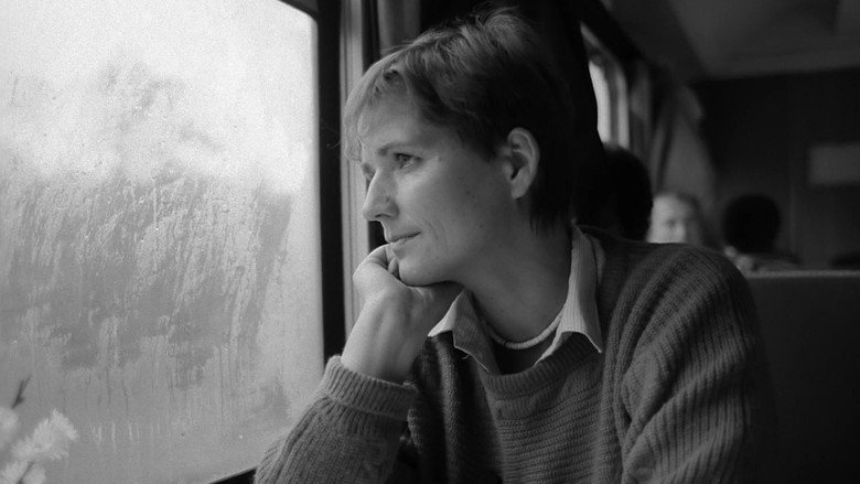 кадр из фильма Winter adé