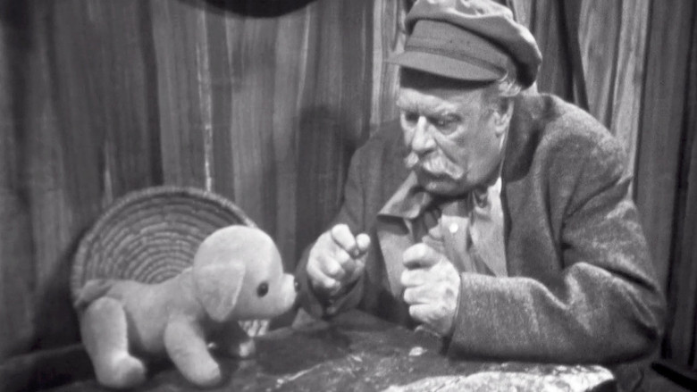 кадр из фильма Psí pohádka