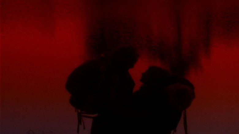 кадр из фильма O Território