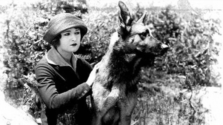 кадр из фильма The Silent Call