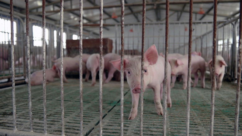 кадр из фильма Soyalism