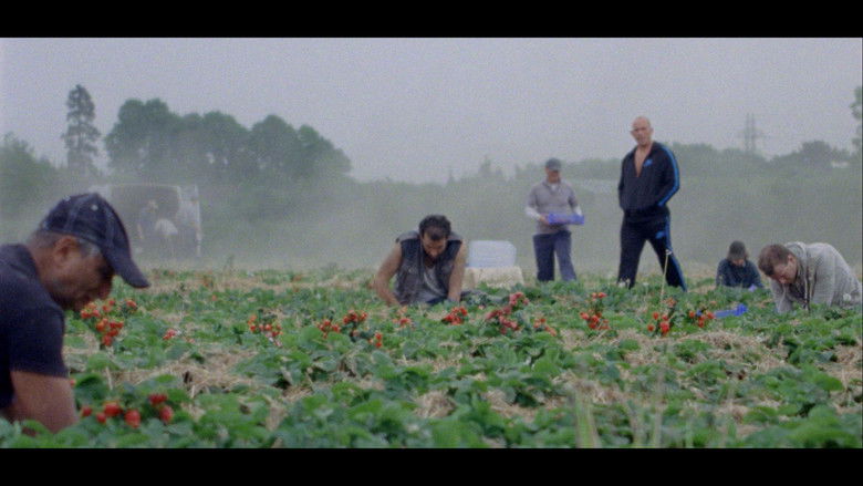 кадр из фильма Sunny Life Farms