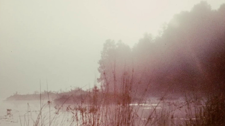 кадр из фильма Everything Everywhere Again Alive