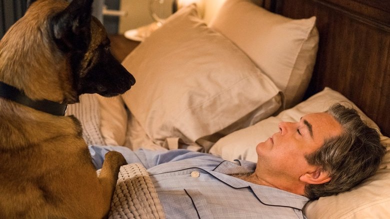 кадр из фильма Ясновидец 2: Ласси возвращается домой