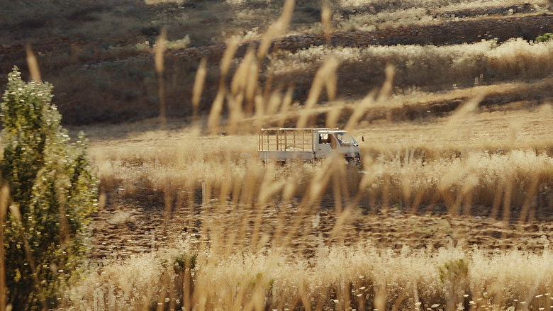 кадр из фильма Moondove