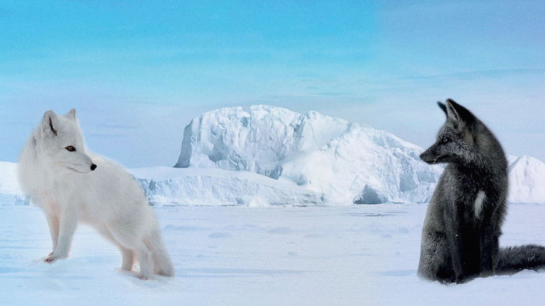 кадр из фильма Кина и Юк: Пушистые приключения