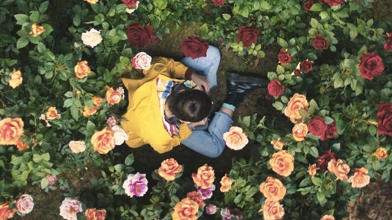 кадр из фильма Небо повсюду