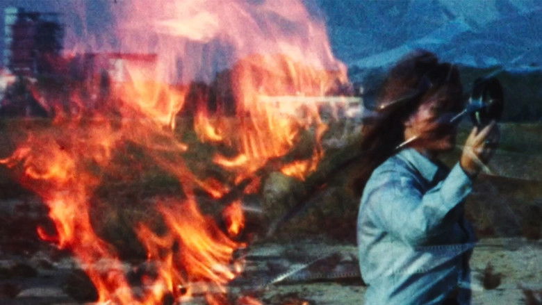 кадр из фильма Lo schermo negato