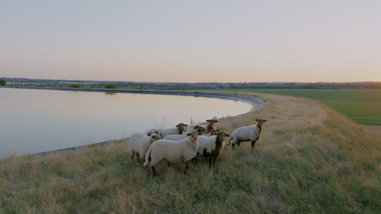 кадр из фильма Monde agricole : la fracture de l’eau