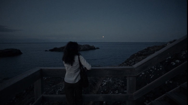 кадр из фильма Blue Heron