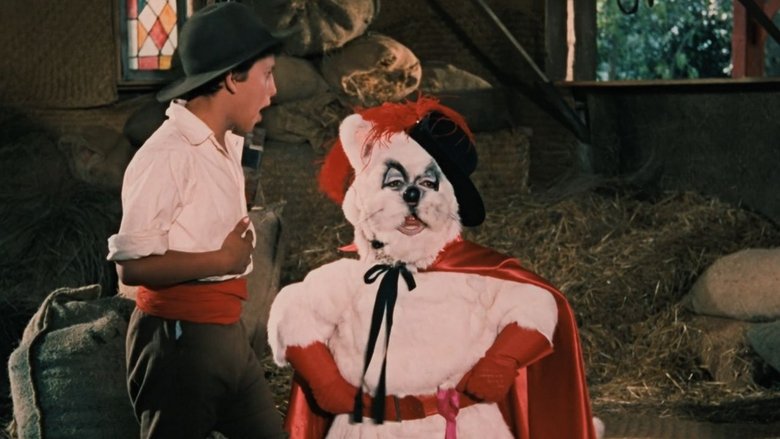 кадр из фильма El gato con botas